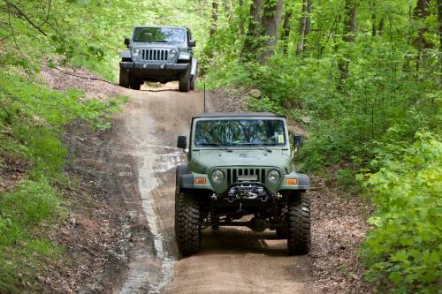 Two off-road vehicles navigate a dirt trail surrounded by lush green trees.