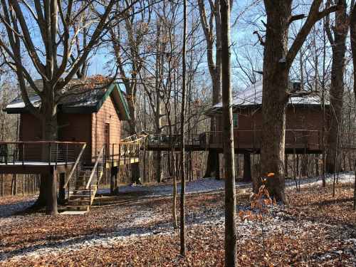 Two wooden treehouses nestled among trees, surrounded by fallen leaves and a light dusting of snow.