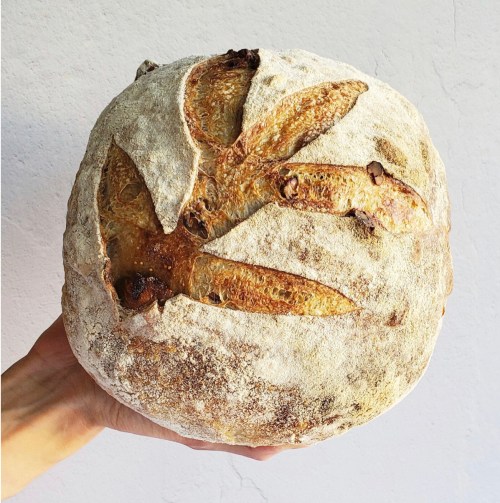 A hand holding a round loaf of bread with decorative scoring resembling leaves on the crust.