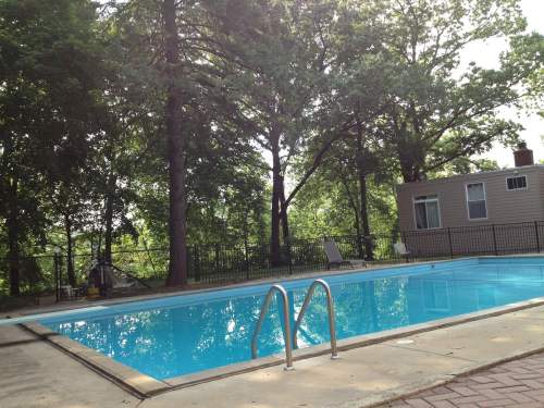 A clear blue swimming pool surrounded by trees and a fence, with a house visible in the background.