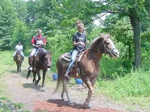 Two riders on horseback trail through a lush green forest path, with one rider leading the way.
