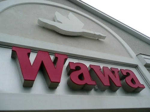 Signage of a Wawa store featuring the logo and a bird silhouette above the letters.
