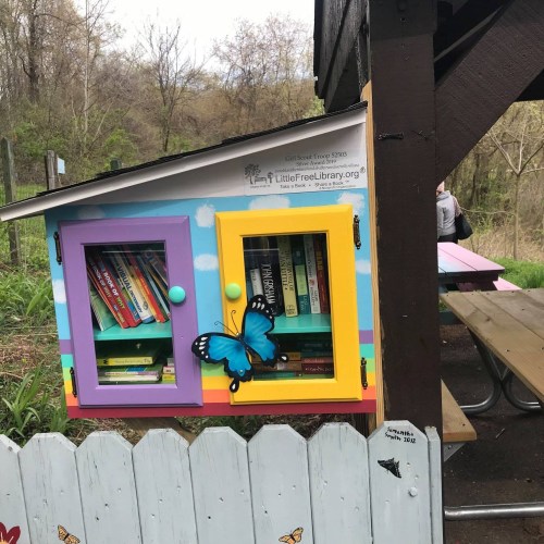A colorful little free library mounted on a post, filled with books and decorated with a butterfly.