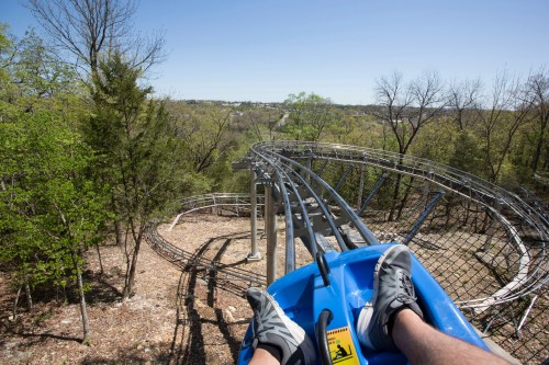 A view from a roller coaster cart, showing a winding track through a wooded area on a sunny day.