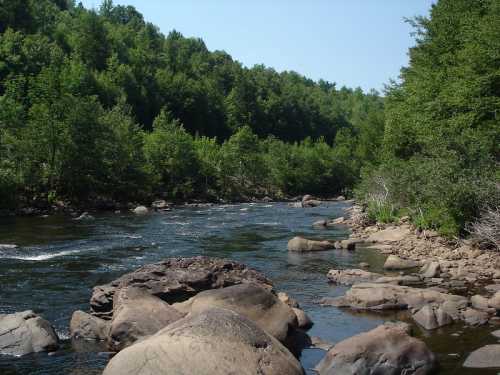 A serene river flows through a lush green landscape, with large rocks lining the water's edge under a clear blue sky.