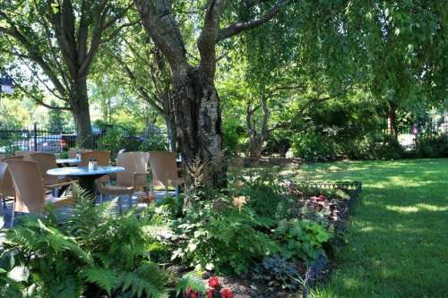 A serene garden scene with a table and chairs under trees, surrounded by lush greenery and colorful flowers.