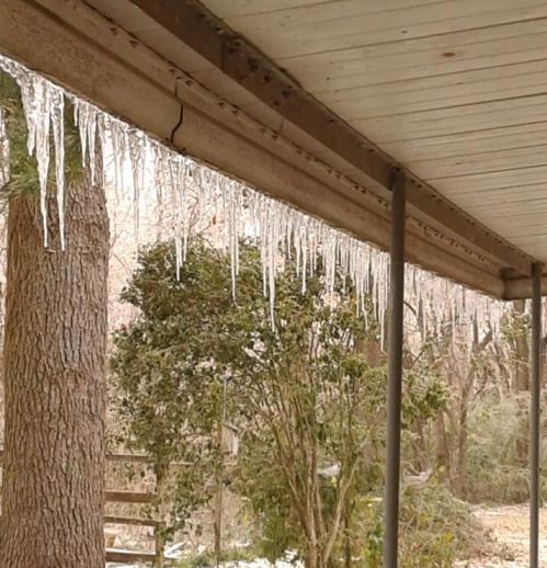 Icicles hang from a roof overhang, with trees and shrubs visible in the background.