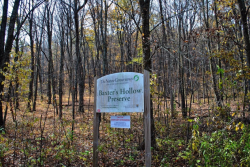 Sign for Baxter's Hollow Preserve in a wooded area with bare trees and autumn foliage.