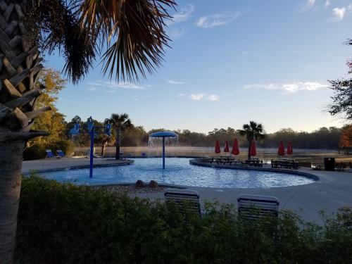 A serene pool area with palm trees, red umbrellas, and mist rising in the morning light.