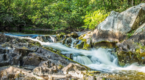 A serene stream flows over rocky terrain, surrounded by lush green trees and foliage.