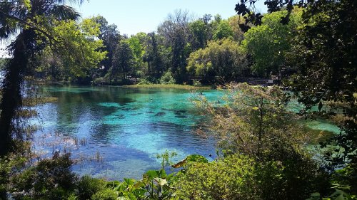 A serene blue-green lake surrounded by lush trees and vegetation under a clear blue sky.