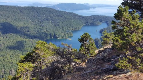 A scenic view of a forested landscape with a lake and distant islands under a clear blue sky.