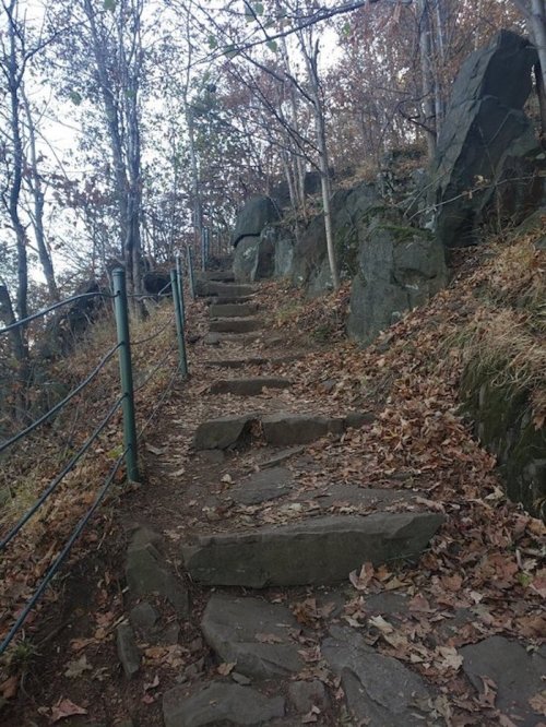 Stone steps lead up a wooded path, surrounded by rocks and autumn leaves. Trees line the trail on either side.
