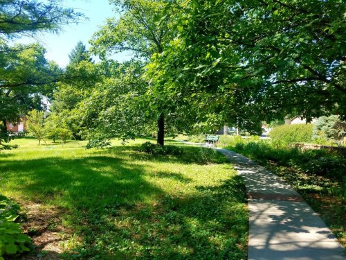 A sunny park scene featuring a winding path surrounded by lush green grass and trees.