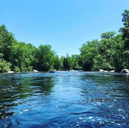 A serene river flows through a lush green landscape under a clear blue sky.
