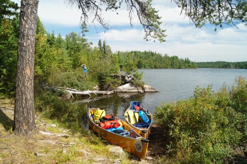 A serene lakeside scene with two canoes on the shore, surrounded by lush greenery and a person exploring nearby.