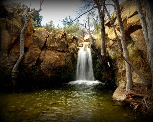A serene waterfall cascades into a tranquil pool, surrounded by rocky cliffs and trees.