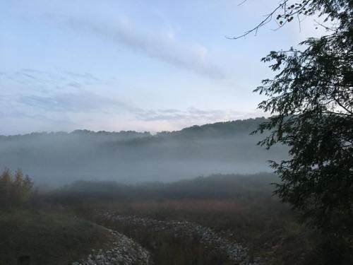 A misty landscape at dawn, with fog rolling over a field and trees in the background under a soft blue sky.