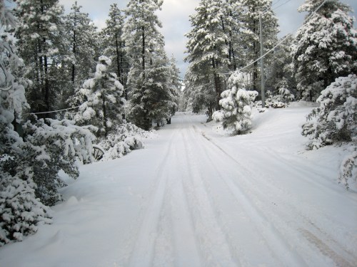 A snow-covered road lined with trees, creating a serene winter landscape under a cloudy sky.