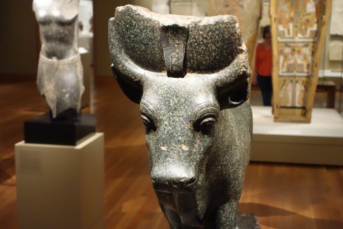 A close-up of a stone bull sculpture in a museum, with other artifacts visible in the background.