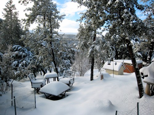 A snowy landscape with trees, a patio set, and a small shed, all covered in fresh snow under a cloudy sky.