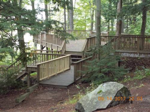 A wooden walkway with ramps and stairs surrounded by trees in a forested area.