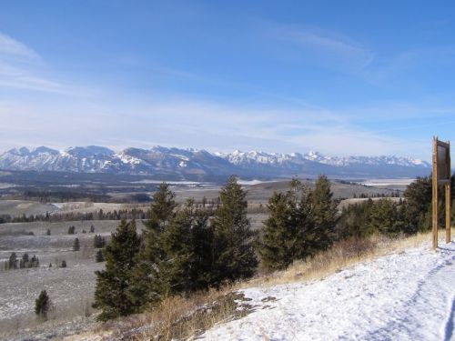 Snow-covered landscape with evergreen trees in the foreground and majestic mountains under a clear blue sky.