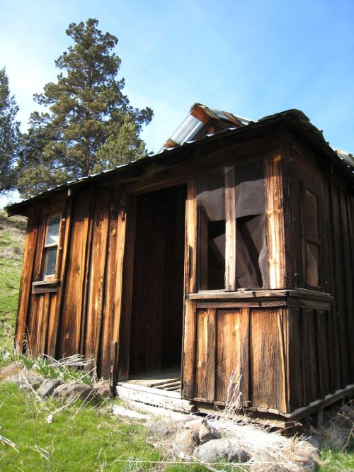 An old, weathered wooden cabin with a partially open door, surrounded by grass and trees under a clear blue sky.