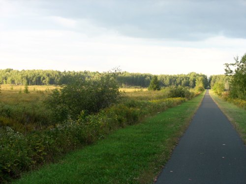 A peaceful pathway through a grassy field, bordered by trees under a cloudy sky.
