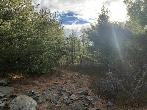 A rocky path winds through dense greenery under a partly cloudy sky, with sunlight filtering through the trees.