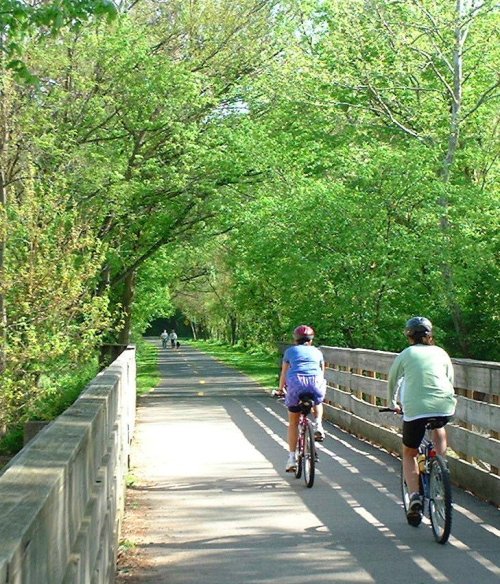 Two cyclists ride along a tree-lined path, surrounded by lush greenery on a sunny day.