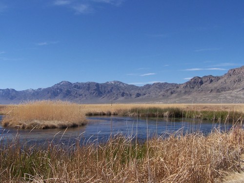 A serene landscape featuring a winding river surrounded by tall grasses and mountains under a clear blue sky.