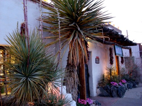 A charming building with desert plants, colorful flowers, and decorative lights, creating a warm, inviting atmosphere.