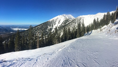 Snow-covered mountains under a clear blue sky, with evergreen trees lining the slopes and a valley in the distance.