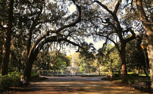A serene park scene with a fountain surrounded by lush trees and benches, dappled sunlight filtering through the leaves.