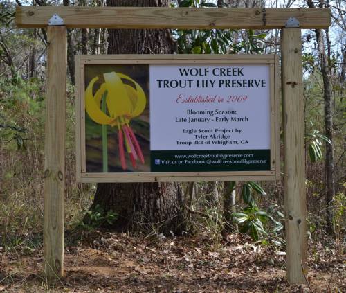 Sign for Wolf Creek Trout Lily Preserve, established in 2009, with blooming season details and Eagle Scout project credit.