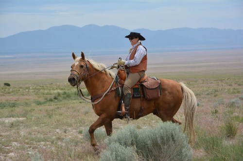 A person in western attire rides a horse across a grassy landscape with mountains in the background.