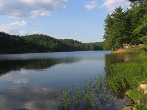 A serene lake surrounded by lush green trees and gentle hills under a blue sky with fluffy clouds.