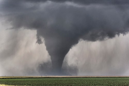 A dark tornado descends from stormy clouds over a green field, creating a dramatic and intense weather scene.