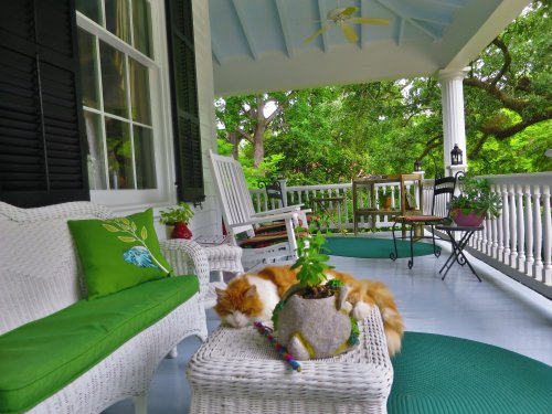 A cozy porch with white wicker furniture, green cushions, a potted plant, and a sleeping orange cat.