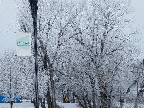 Frost-covered trees beside a sign for "The Greenway" in a snowy landscape.