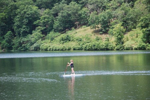 A person paddleboarding on a calm lake surrounded by lush green trees.