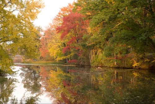A serene autumn scene with colorful trees reflecting in calm water.