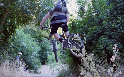 A mountain biker jumps off a trail surrounded by greenery, showcasing an action-packed moment in nature.
