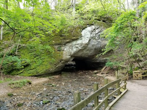 A rocky cave entrance surrounded by lush greenery, with a small stream and wooden walkway in the foreground.
