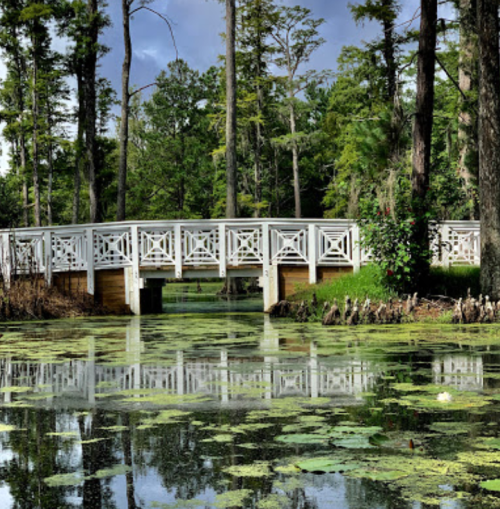 A white wooden bridge spans a serene pond surrounded by lush greenery and lily pads.