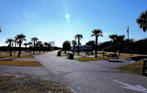 A sunny park with palm trees, picnic tables, and an RV in the background along a paved path.