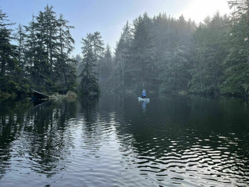 A person stands on a paddleboard in a calm, misty lake surrounded by tall trees and a serene atmosphere.