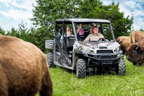 A family enjoys a ride in a Polaris vehicle surrounded by bison in a grassy field under a blue sky.