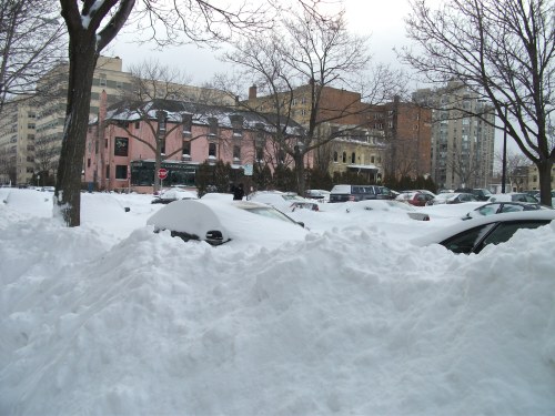 A snowy street scene with cars buried in snow and buildings in the background, creating a winter landscape.